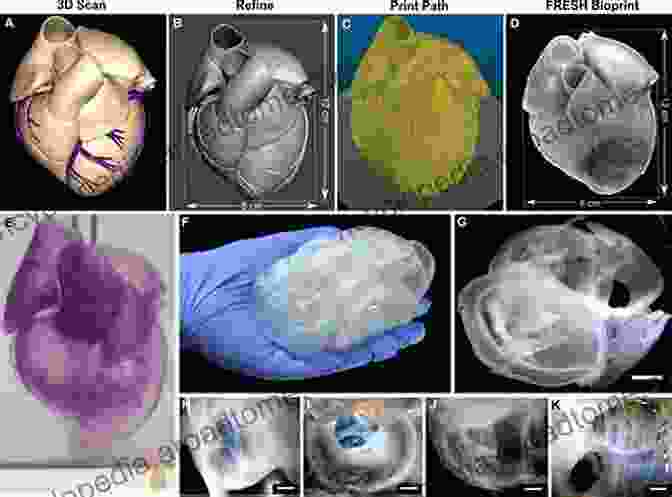 3D Bioprinted Heart Model Floating In Liquid Organ Printing (Iop Concise Physics)