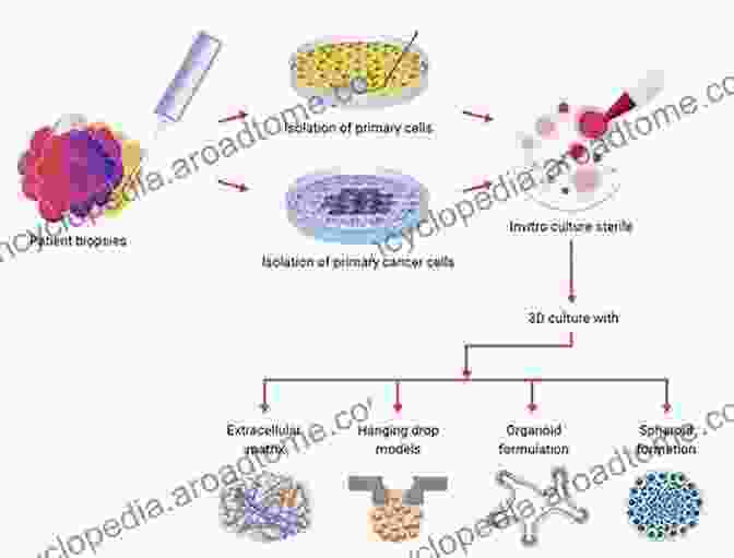 3D Cell Culture Platform For Engineering Complex Tissues Cutting Edge Enabling Technologies For Regenerative Medicine (Advances In Experimental Medicine And Biology 1078)