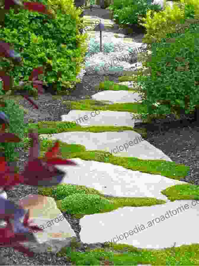 A Carpet Of Irish Moss Forming A Lush, Green Covering Covering Ground: Unexpected Ideas For Landscaping With Colorful Low Maintenance Ground Covers