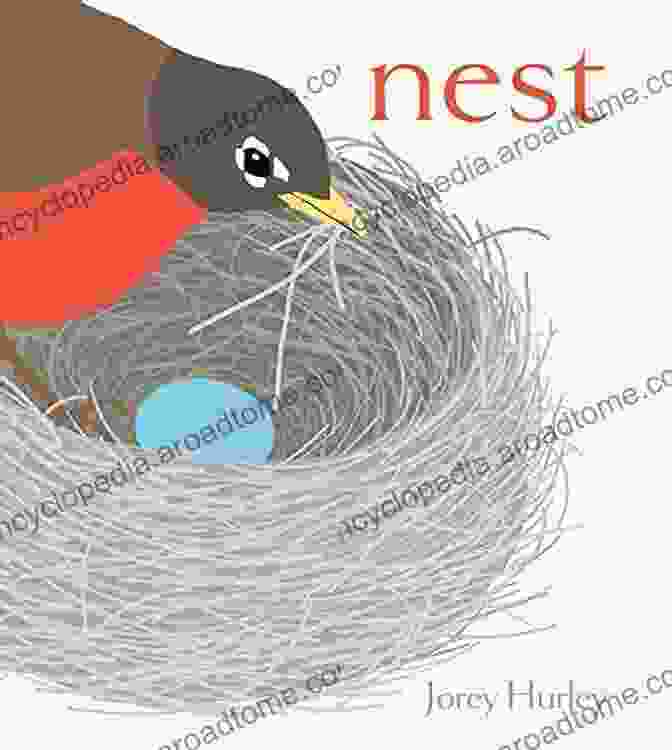 A Child Holding A Nest Classic Board Book Nest (Classic Board Books) Jorey Hurley