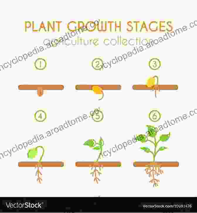 A Close Up Image Of A Plant Seedling, With Arrows Indicating Various Signaling Pathways Involved In Growth And Stress Responses. Bioactive Molecules In Plant Defense: Signaling In Growth And Stress