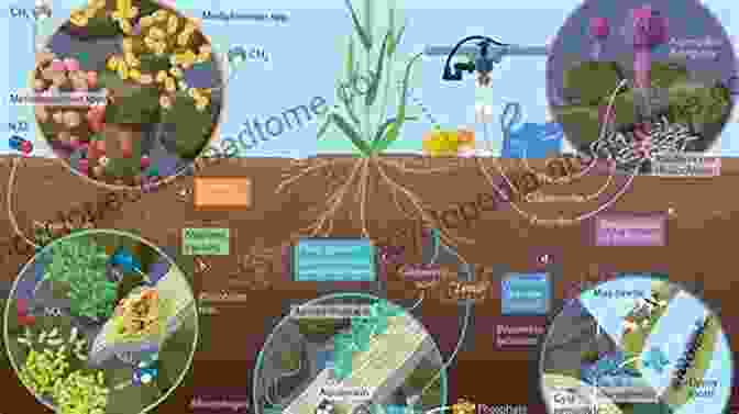 A Close Up Of Fertile Woodland Soil Teeming With Microorganisms Positive Impact Forestry: A Sustainable Approach To Managing Woodlands