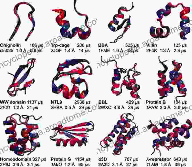 A Computer Simulation Of A Protein Folding Process Protein Folding: An (SpringerBriefs In Molecular Science)