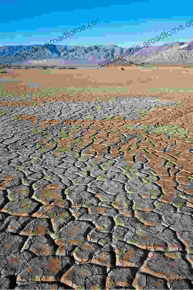 A Dried Up Lake Surrounded By Barren Land Water Resources Of Jordan: Political Social And Economic Implications Of Scarce Water Resources (World Water Resources 1)