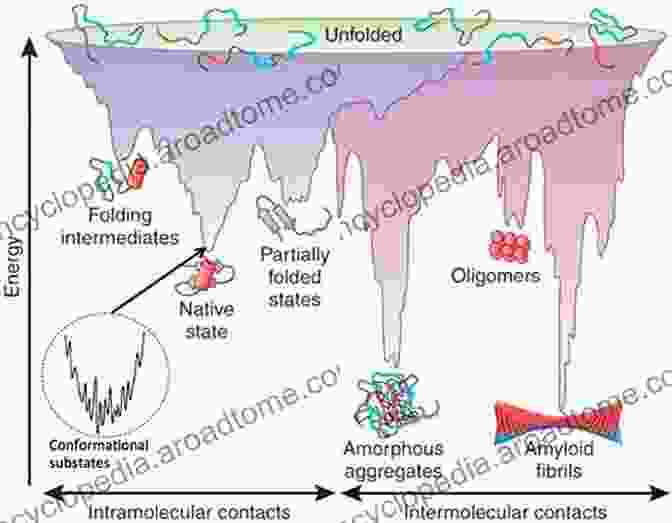 A Graphical Representation Of The Energy Landscape Of A Protein, Showing The Folded And Unfolded States Protein Folding: An (SpringerBriefs In Molecular Science)