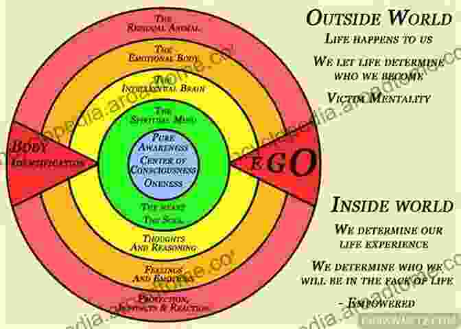 A Graphical Representation Of The Holotropic Paradigm, Showing The Flow Of Consciousness Through Different States LSD And The Mind Of The Universe: Diamonds From Heaven