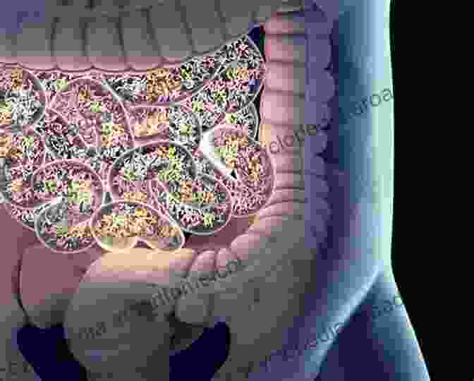 A Microscopic View Of The Gut Microbiome, A Diverse Community Of Microorganisms Residing In The Human Digestive Tract My Weird Stomach And Me