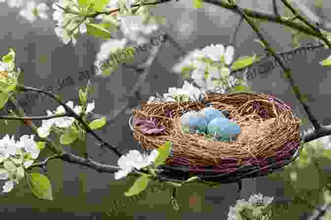 A Nest Filled With Baby Birds Nest (Classic Board Books) Jorey Hurley