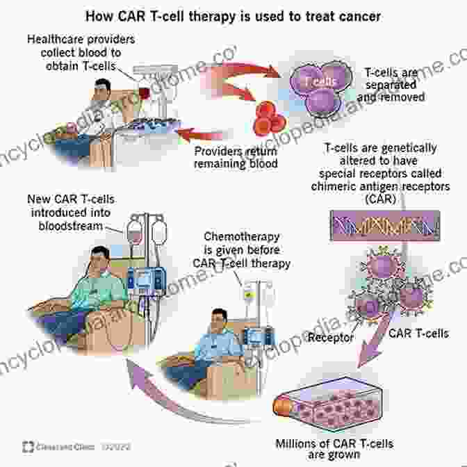 A Patient Receiving CAR T Cell Therapy In A Hospital Setting. Advances In Lymphoma Research (Cancer Treatment And Research 85)