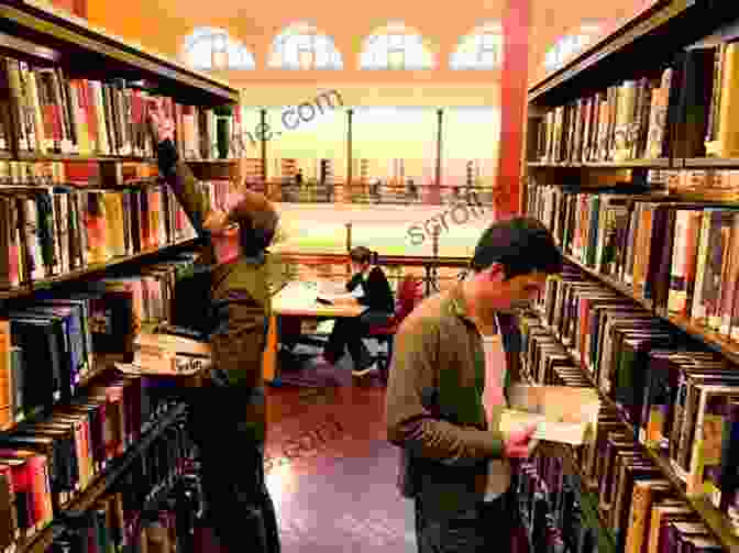 A Person Reading A Book In A Library One World Many Cultures (2 Downloads)