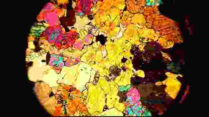 A Petrographer Examining A Rock Sample Under A Microscope Metasomatic Textures In Granites: Evidence From Petrographic Observation (Springer Mineralogy)