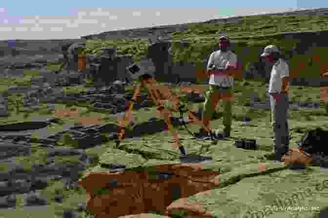 A Photo Of An Archaeologist Using GIS Software Digital Methods And Remote Sensing In Archaeology: Archaeology In The Age Of Sensing (Quantitative Methods In The Humanities And Social Sciences)