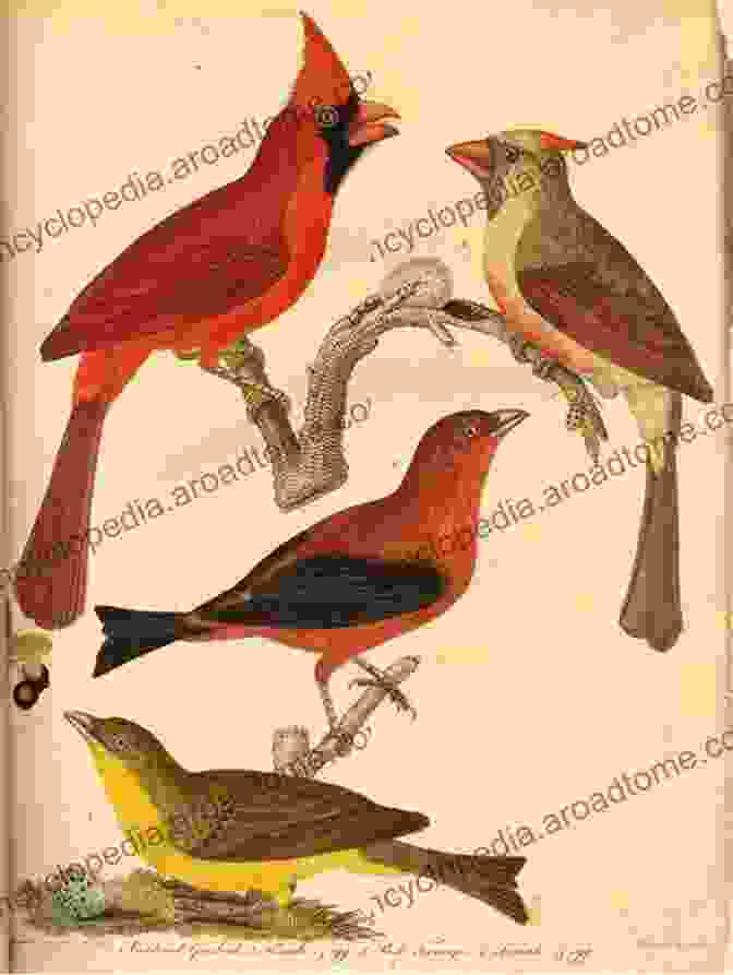 Alexander Wilson, Renowned Ornithologist And Author Of 'American Ornithology' The Secret Lives Of A Secret Agent: The Mysterious Life And Times Of Alexander Wilson