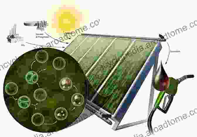 An Image Of A Solar Panel Next To A Biofuel Plant, Symbolizing The Importance Of Sustainability In Biofuel Production. Sustainable Approaches For Biofuels Production Technologies: From Current Status To Practical Implementation (Biofuel And Biorefinery Technologies 7)