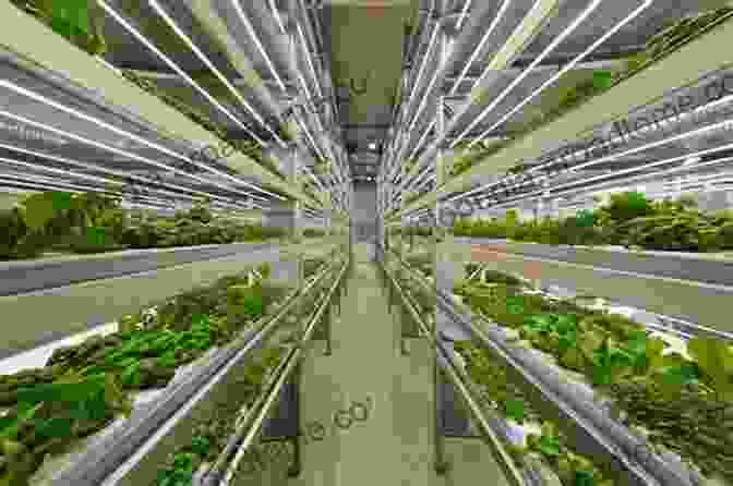 An Interior View Of A Vertical Farm With Multiple Growing Tiers Stacked Vertically Smart Plant Factory: The Next Generation Indoor Vertical Farms