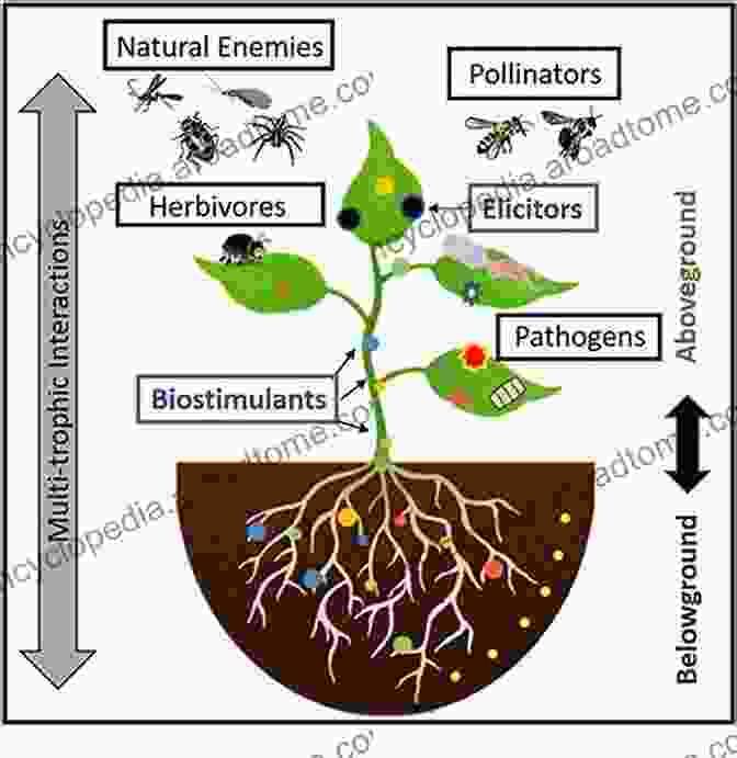 Biological Control Strategies Advances In Insect Control And Resistance Management