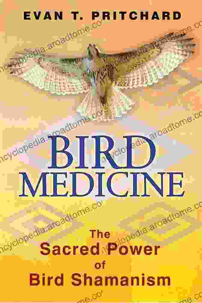 Bird Medicine Book Cover Bird Medicine: The Sacred Power Of Bird Shamanism