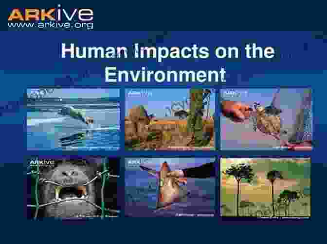 Collage Of Images Depicting Human Impact On Earth's Systems The Blue Planet: An To Earth System Science 3rd Edition