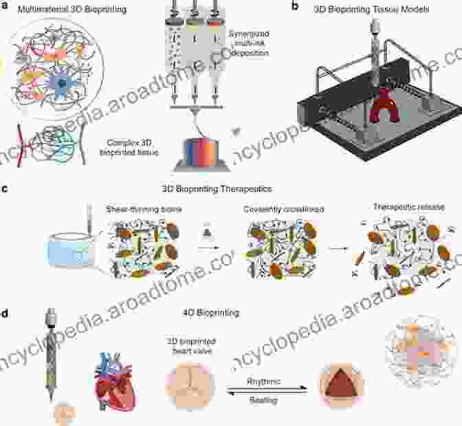 Diagram Of 3D Bioprinting Process, Showing Cell Deposition And Tissue Formation Organ Printing (Iop Concise Physics)