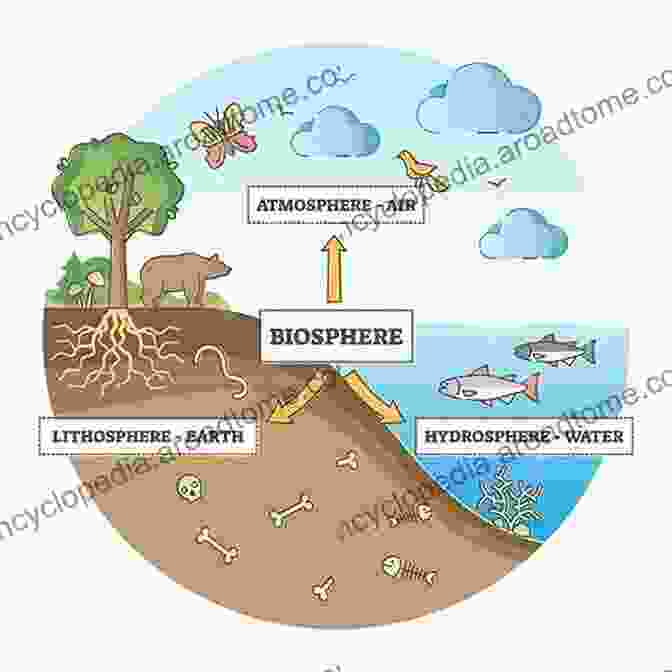 Diagram Of Earth's Biosphere, Showcasing Its Diversity And Interconnectedness The Blue Planet: An To Earth System Science 3rd Edition