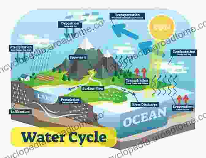 Diagram Of Earth's Water Cycle, Showcasing Its Processes And Pathways The Blue Planet: An To Earth System Science 3rd Edition