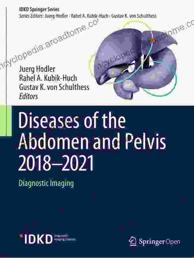 Diseases Of The Abdomen And Pelvis 2024 Book Cover Featuring A Stethoscope And An Image Of The Abdominal And Pelvic Region Diseases Of The Abdomen And Pelvis 2024: Diagnostic Imaging IDKD (IDKD Springer Series)