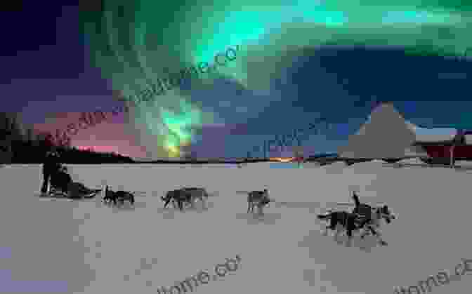 Dog Sledding In The Arctic Under The Northern Lights Arctic Adventure (Starlight Snowdogs 2)