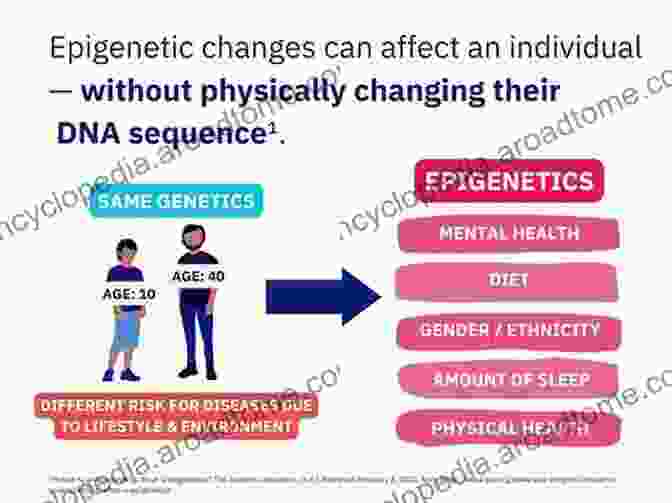 Epigenetics Genomic Elements In Health Disease And Evolution: Junk DNA