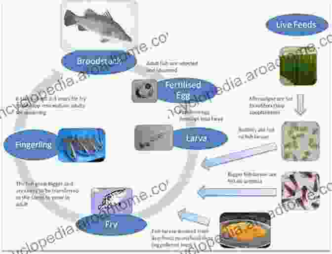 Fish With Enhanced Growth Characteristics Genomics And Biotechnological Advances In Veterinary Poultry And Fisheries