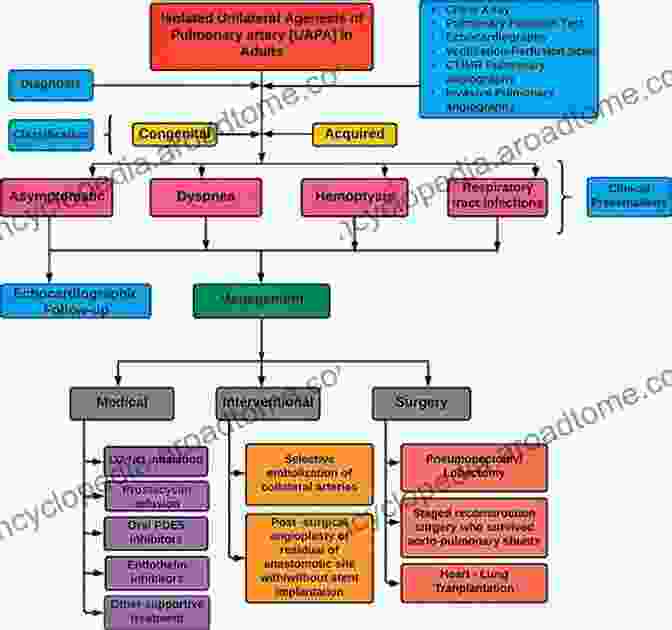 Flowchart Illustrating The Differential Diagnosis Process The Psychiatric Interview For Differential Diagnosis