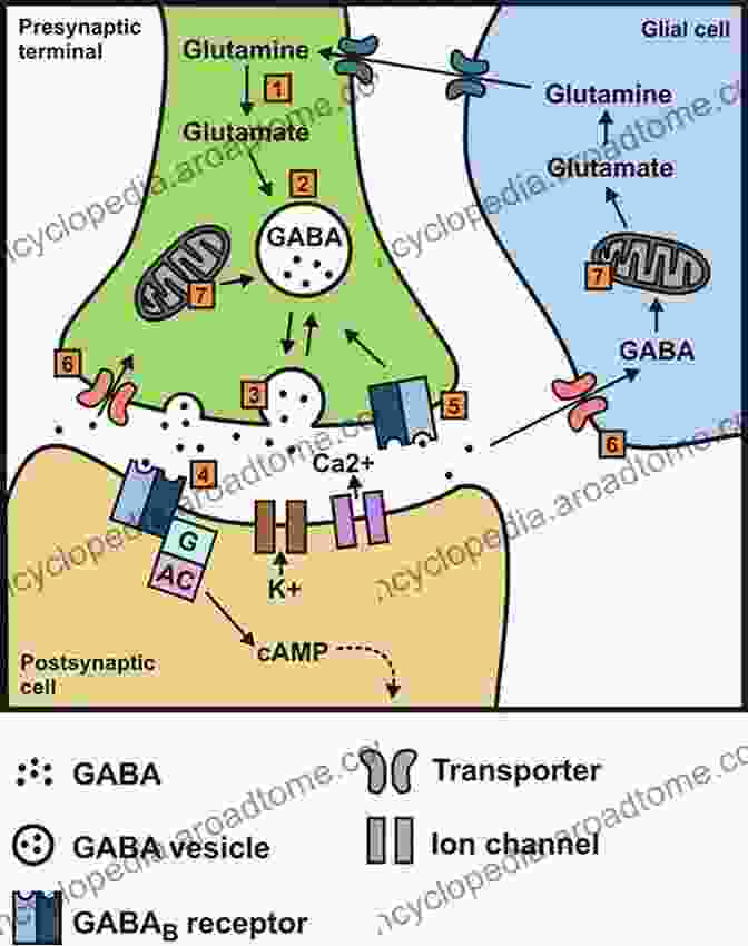 GABA Agonists In Modulating Motor Symptoms Associated With PD The Adenosinergic System: A Non Dopaminergic Target In Parkinson S Disease (Current Topics In Neurotoxicity 10)