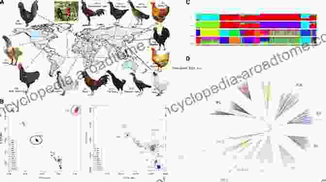 Genome Analysis Of A Poultry Bird Genomics And Biotechnological Advances In Veterinary Poultry And Fisheries