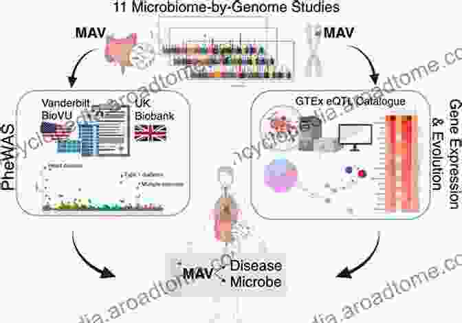 Genomics In Evolution Genomic Elements In Health Disease And Evolution: Junk DNA