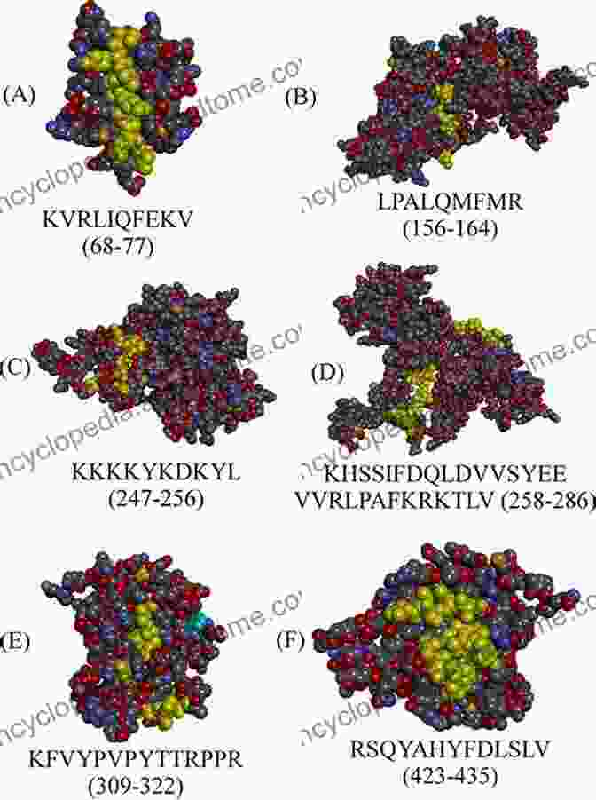 Graphic Representation Of Cholesterol Binding Motifs On Protein Structures Direct Mechanisms In Cholesterol Modulation Of Protein Function (Advances In Experimental Medicine And Biology 1135)