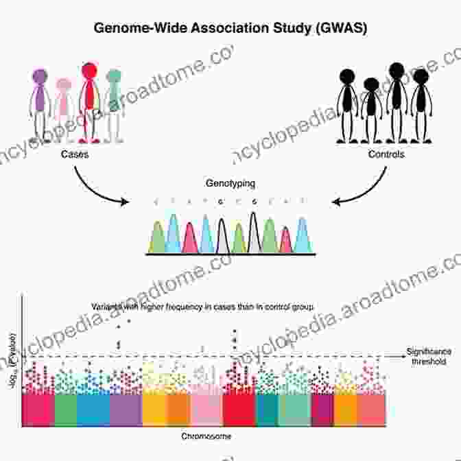 Illustration Of A Genome Wide Association Study, With Individuals Represented By Circles And Genetic Variants Shown As Lines Connecting Them. Genome Wide Association Studies