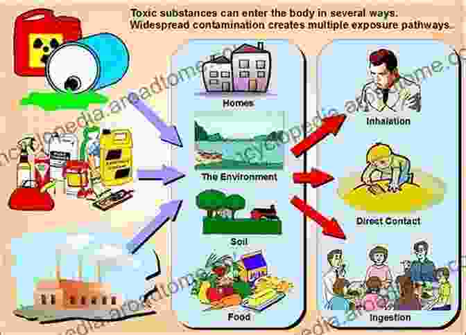 Illustration Of Exposure To Environmental Chemicals And Solvents Clues To The Cause Questions For A Cure: The Poisons Causing Multiple Sclerosis Worldwide