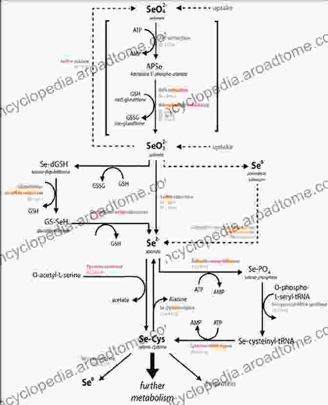 Image Of Complex Biochemical Reactions Immunohistochemistry: Essential Elements And Beyond (Techniques In Life Science And Biomedicine For The Non Expert)