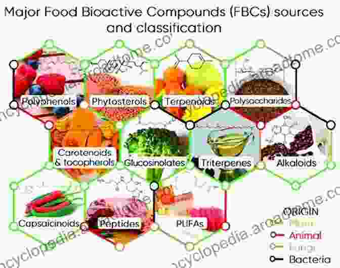 Image Representing The Therapeutic Potential Of Bioactive Ceramides In Treating Different Diseases. Bioactive Ceramides In Health And Disease: Intertwined Roles Of Enigmatic Lipids (Advances In Experimental Medicine And Biology 1159)