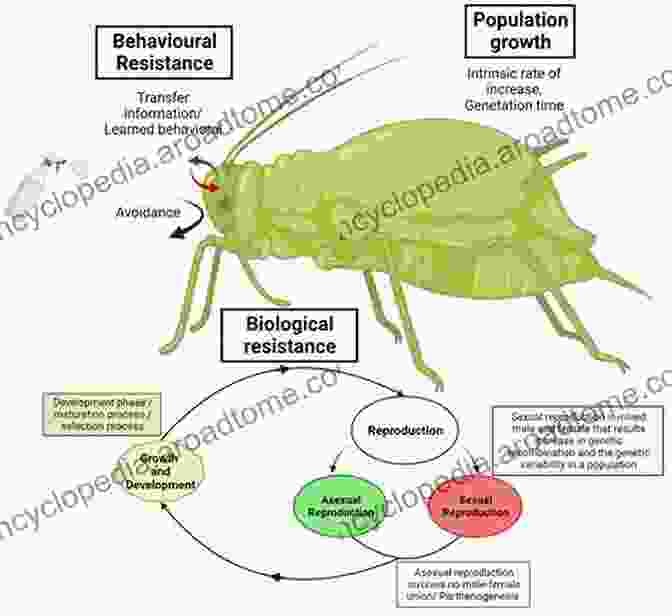 Insecticide Resistance Mechanisms Advances In Insect Control And Resistance Management