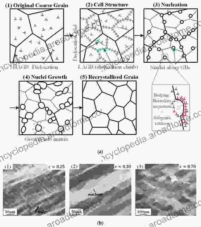 Microstructure Of A Continuous Media Continuous Media With Microstructure 2