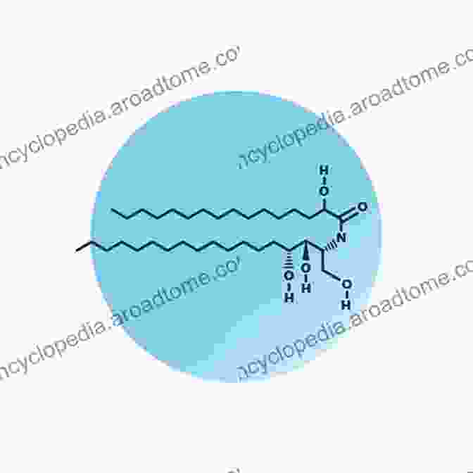 Molecular Structure Of A Bioactive Ceramide Lipid. Bioactive Ceramides In Health And Disease: Intertwined Roles Of Enigmatic Lipids (Advances In Experimental Medicine And Biology 1159)