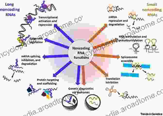 Non Coding Genomic Elements Genomic Elements In Health Disease And Evolution: Junk DNA