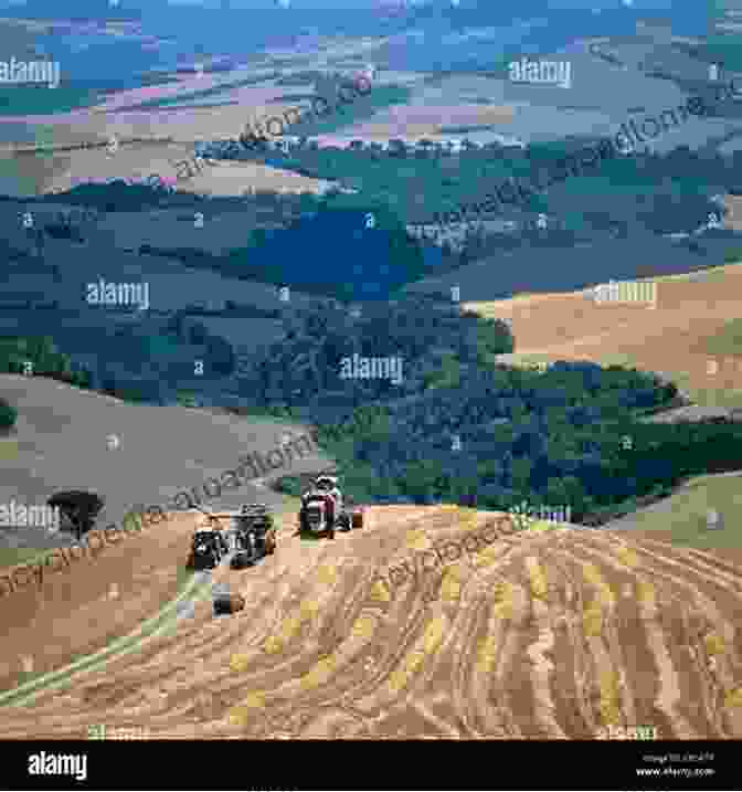 Panoramic View Of Rolling Farmland With A Combine Harvester In The Distance Country Road Abc: An Illustrated Journey Through America S Farmland