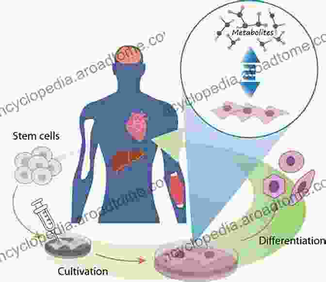 Regenerating Entire Organs Is The Ultimate Goal Of Regenerative Medicine Exploring The State Of The Science In The Field Of Regenerative Medicine: Challenges Of And Opportunities For Cellular Therapies: Proceedings Of A Workshop