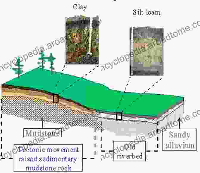 Site Analysis Map Depicting Topography, Soil Composition, And Vegetation Drafting And Design For Architecture Construction