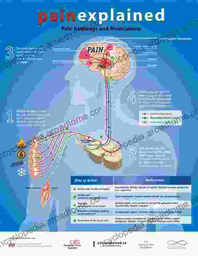 The Effects Of Chronic Pain On The Body And Mind Neurosurgical And Medical Management Of Pain: Trigeminal Neuralgia Chronic Pain And Cancer Pain (Topics In Neurosurgery 3)