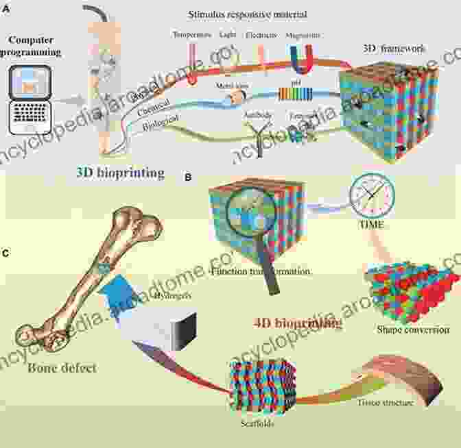 Tissue Engineering Involves Creating Scaffolds That Mimic The Structure Of Natural Tissues Exploring The State Of The Science In The Field Of Regenerative Medicine: Challenges Of And Opportunities For Cellular Therapies: Proceedings Of A Workshop