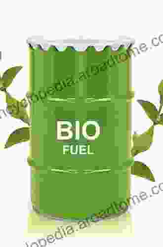 Advances In Solid Biofuels (Green Energy And Technology)