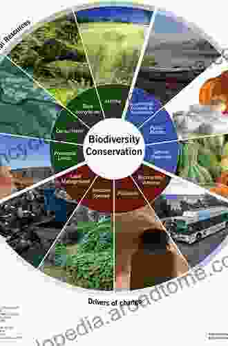 An Introduction To Disturbance Ecology: A Road Map For Wildlife Management And Conservation (Environmental Science And Engineering)