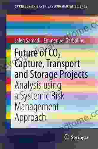 Future Of CO2 Capture Transport And Storage Projects: Analysis Using A Systemic Risk Management Approach (SpringerBriefs In Environmental Science)